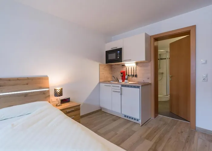 Haus Romeo Alpine Gay - Men 18+ Only